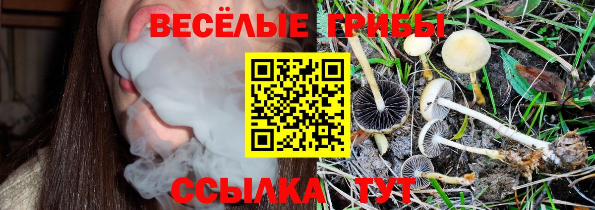 Галлюциногенные грибы Magic Shrooms Барнаул
