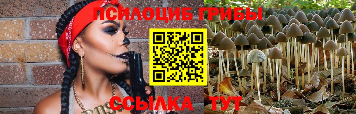 Барнаул  Псилоцибиновые грибы прущие грибы  Галлюциногенные грибы ЛСД  Вход с VPN 